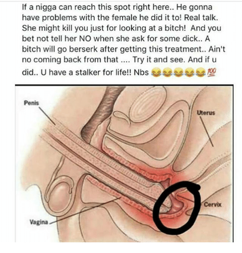 Cock Hitting Cervix