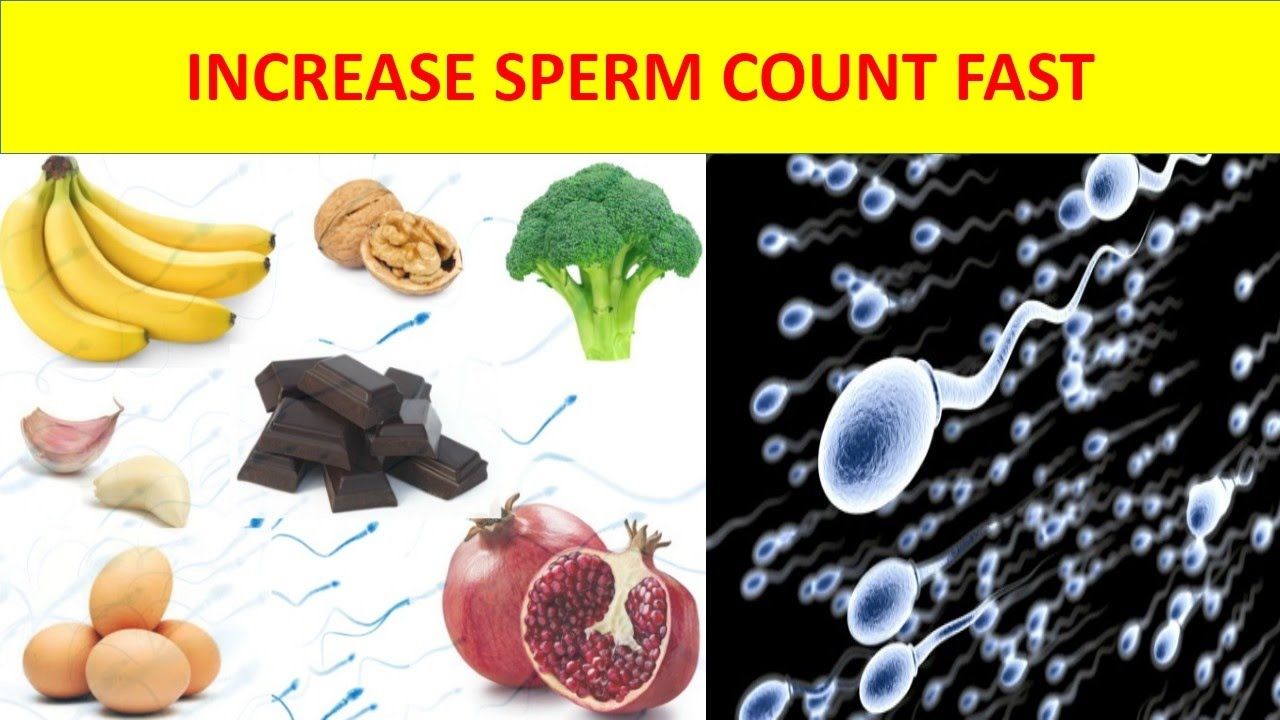 best of How long production Sperm