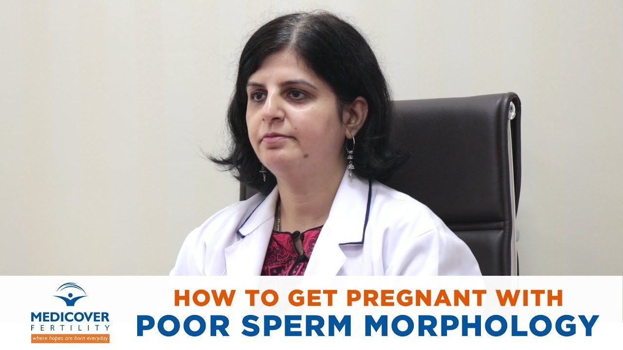 Belly reccomend Where to get sperm