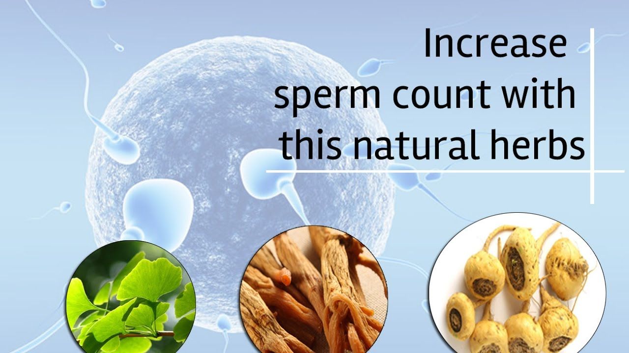 Snapdragon reccomend Healthy sperm foods