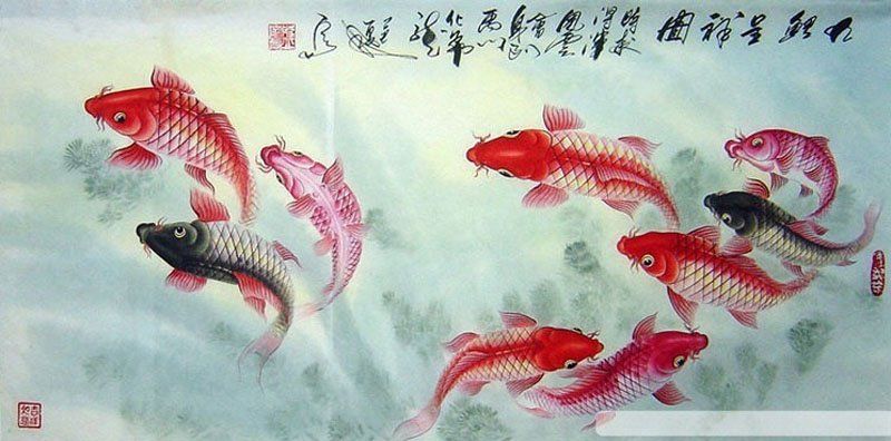 Asian koi paintings