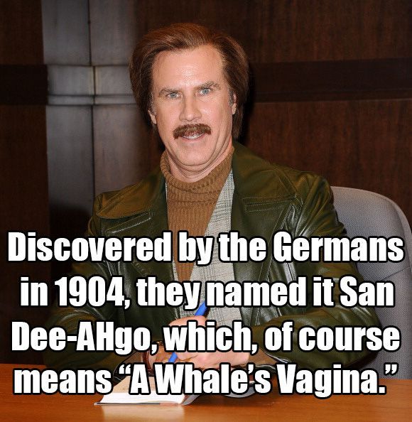 best of Vagina whales Anchorman quotes