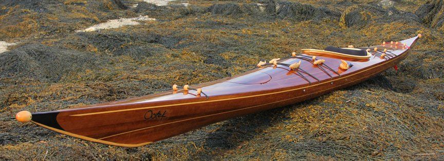 Aspirin reccomend Building a strip built kayak