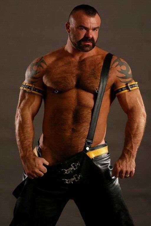 Gay man bear leather