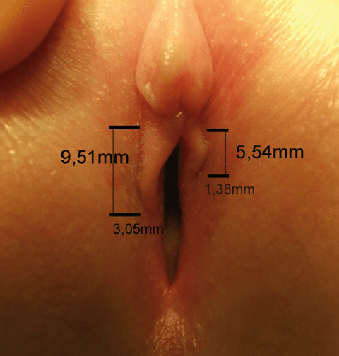 Images of labias during orgasm