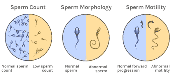 Crisp reccomend Male healthy sperm production