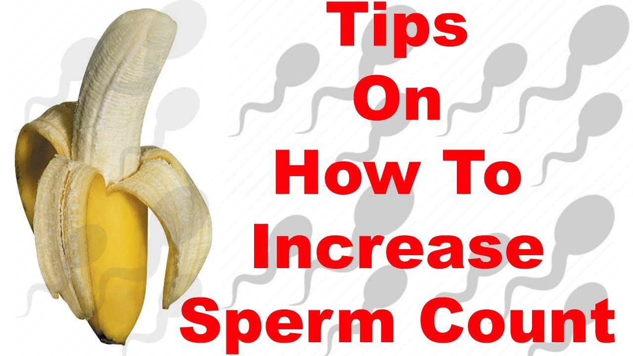 best of Sperm naturaly Increase count