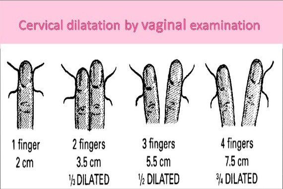 Fingers In Vagina Pics