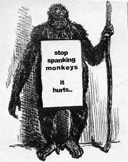 Rellie J. reccomend Girls spank the monkey