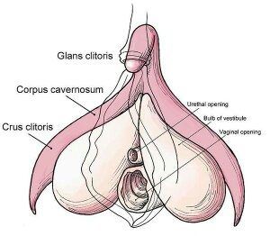 How Deep Penetrate A Vigina