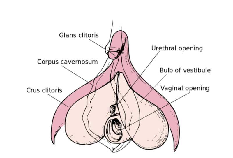 Deep vaginal insertions