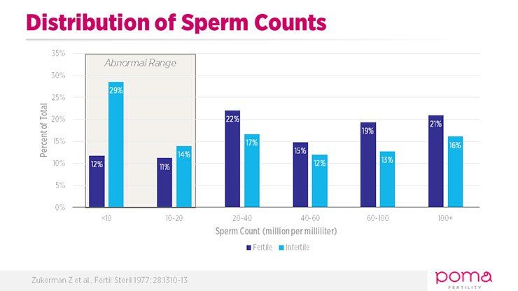 Pretty S. reccomend Mens fertility sperm count