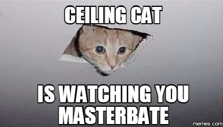 Cat ceiling masturbate