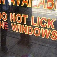 Dumpling reccomend Lick the window