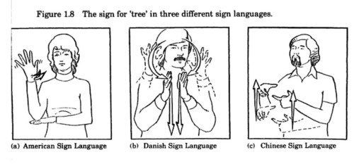 best of Facial sign language English