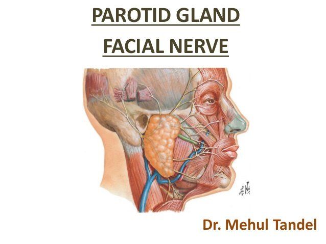 best of Nerve Parotidectomy with facial