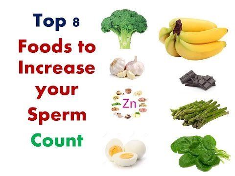 Food that will increase sperm count