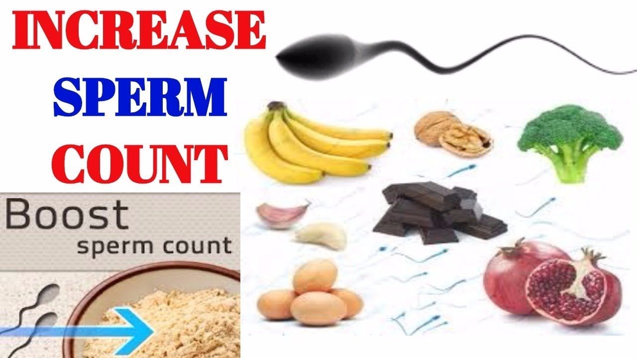 Food that will increase sperm count