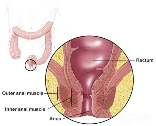 Larger women have larger anus