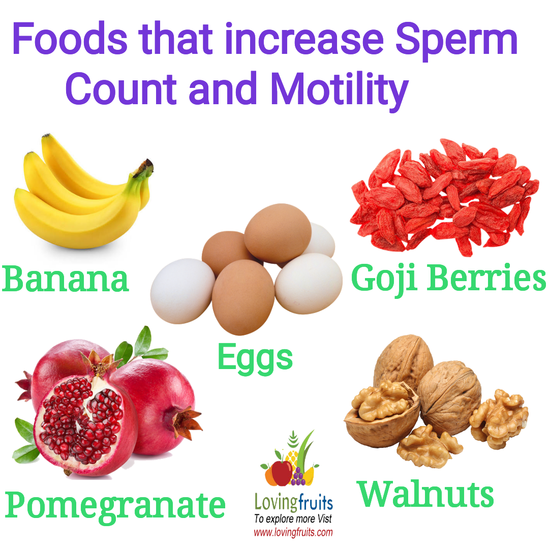 best of Production sperm Male healthy
