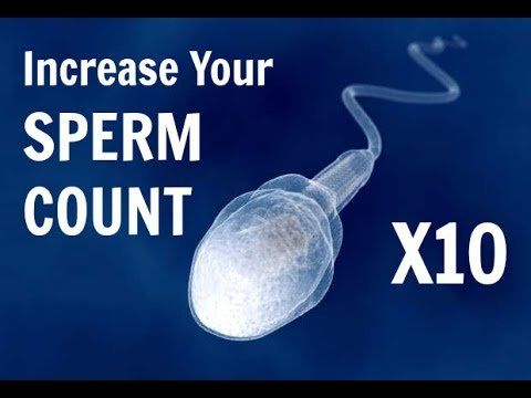 best of Sperm count Penis