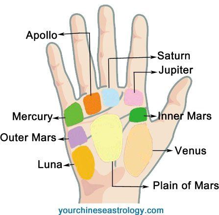 Sexual hand readings