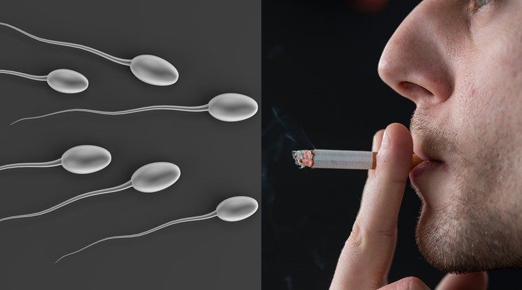 Muffin reccomend Smoking and sperm quality