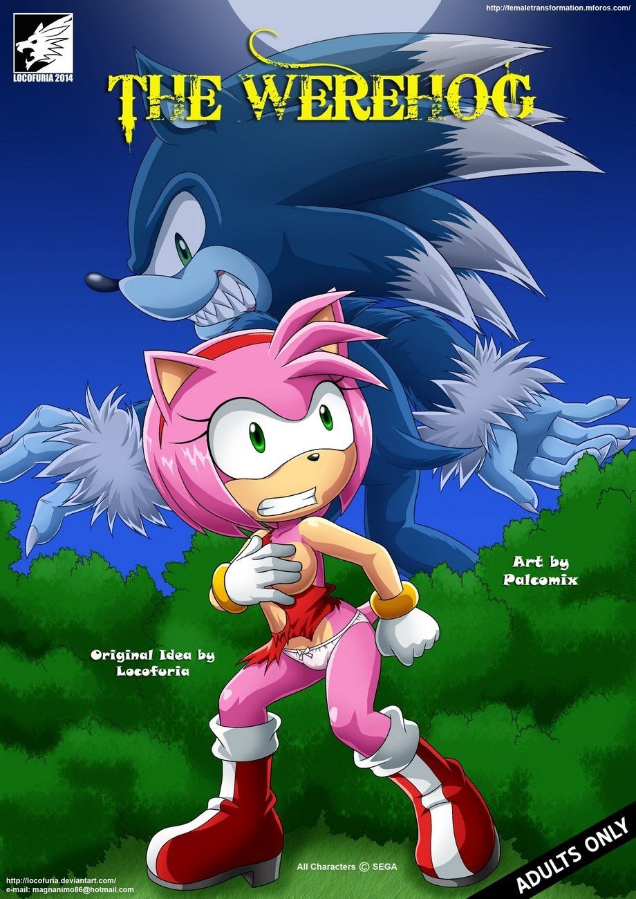 Sonic the hedgehog hentai comics