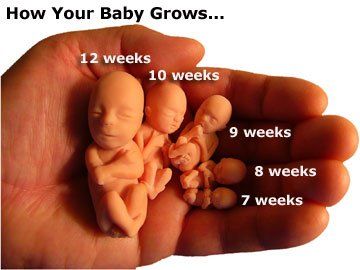 Marine reccomend Teen abortions facts